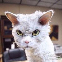 Ольга Шапошник