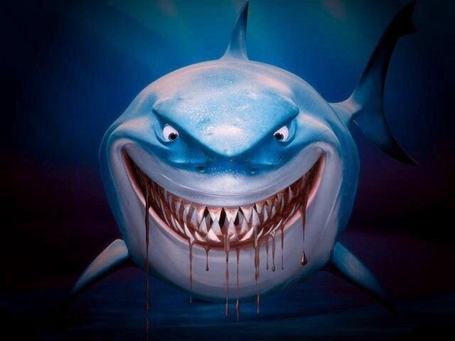 WhiteShark 