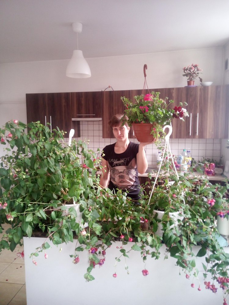Владимир Суботин