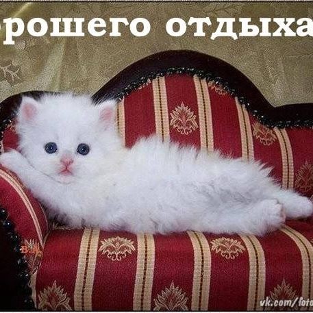 Ольга Стадник