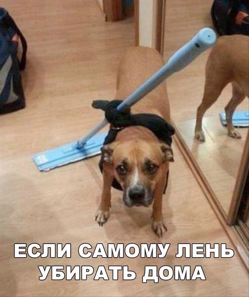 Анатолий Солонарь