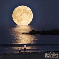 Наталия Балацкая
