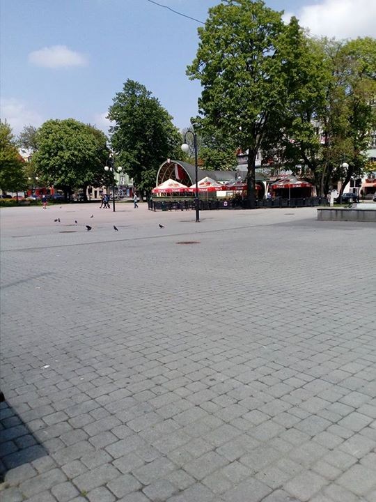 Denis Godyna