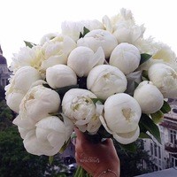 Анюта Брюховецкая