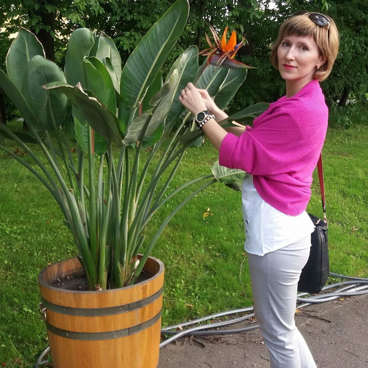 Inna Sokolvak