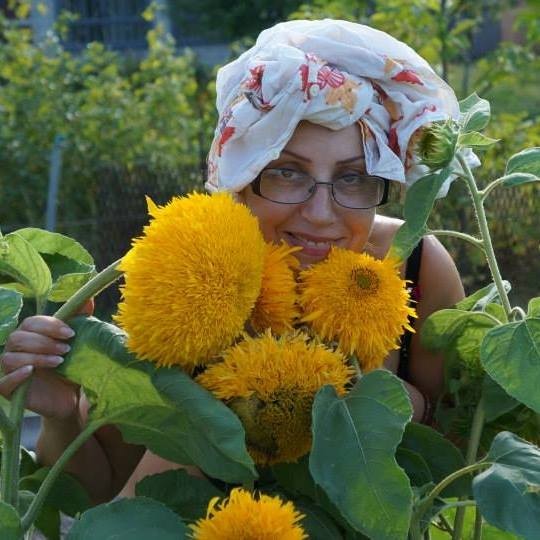 Angelena Grinshteyn