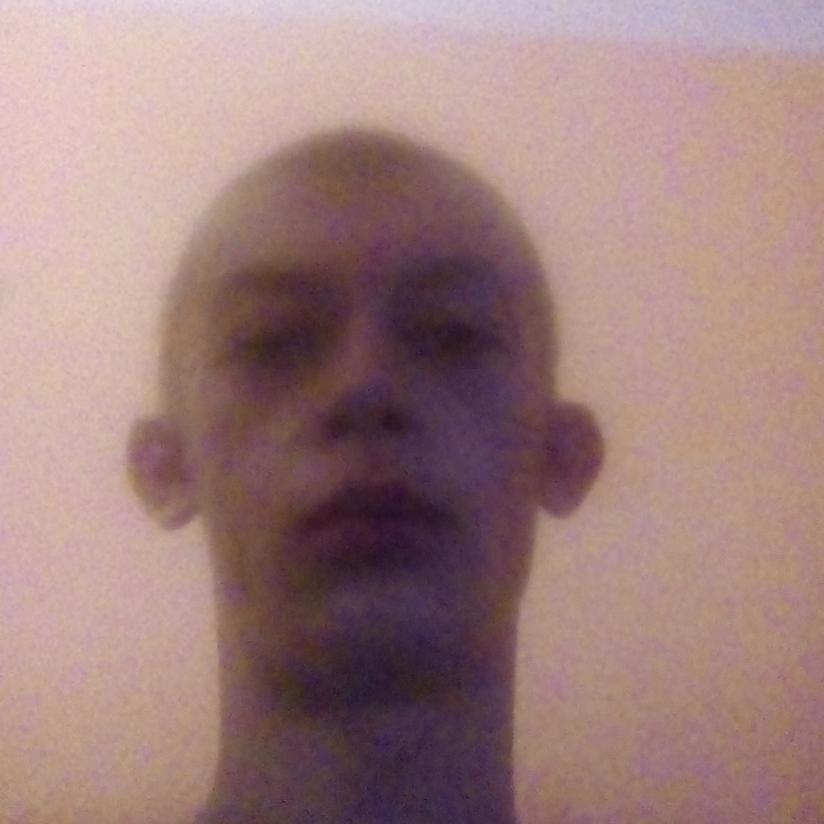 Viktor Shvets
