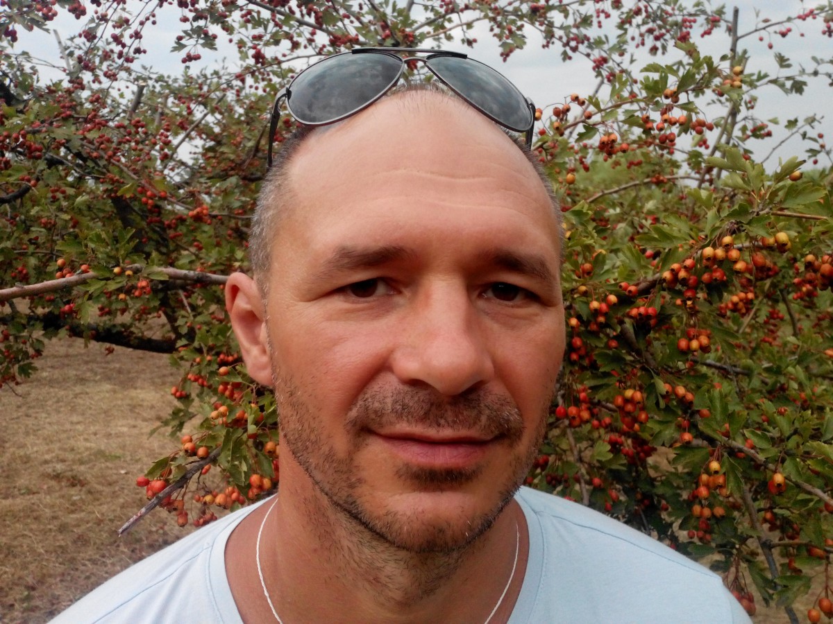викарий 