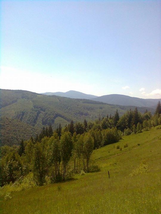 Василь Томашевський