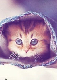 Татьяна Сащенкова