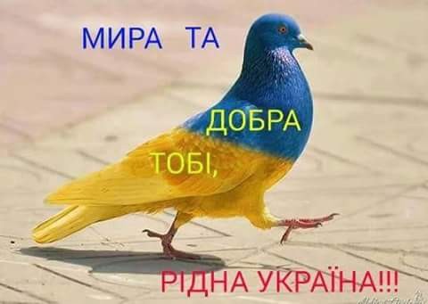 Анелия Мендык