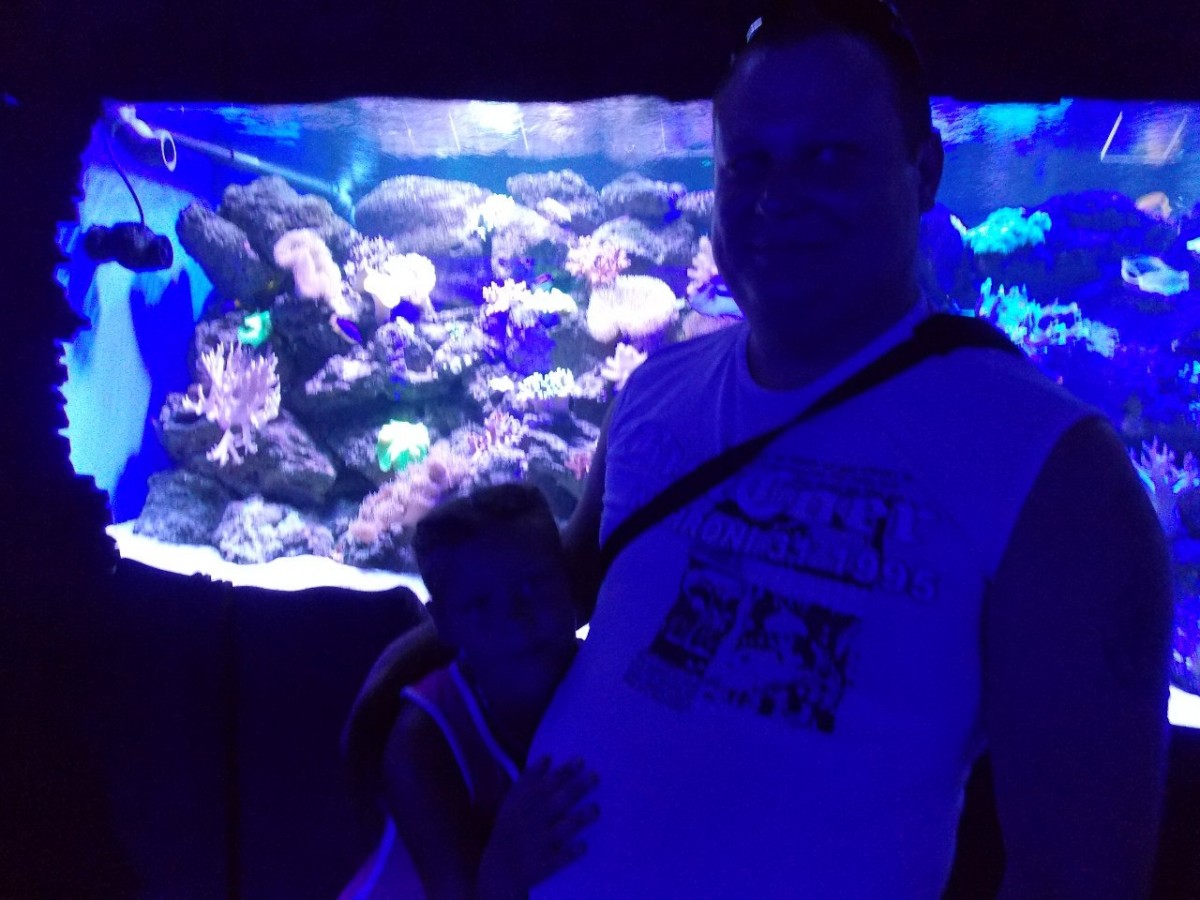 Андрей Клименко