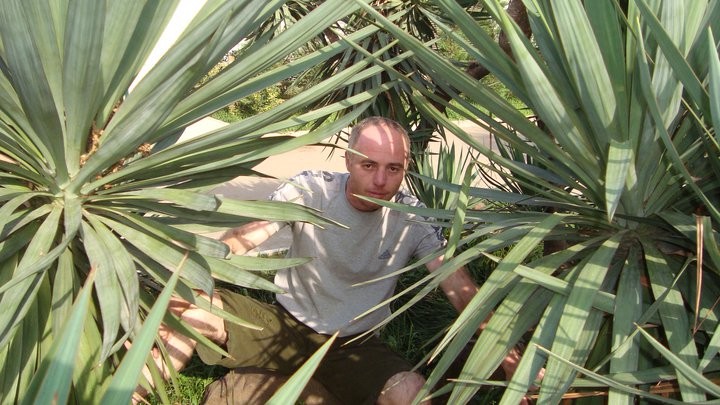 Zaza Nepharidze