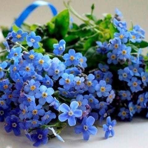 Лена Орищук