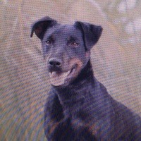 Максим Фомичев