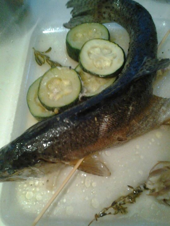 Svetlana  Troyanovskaya