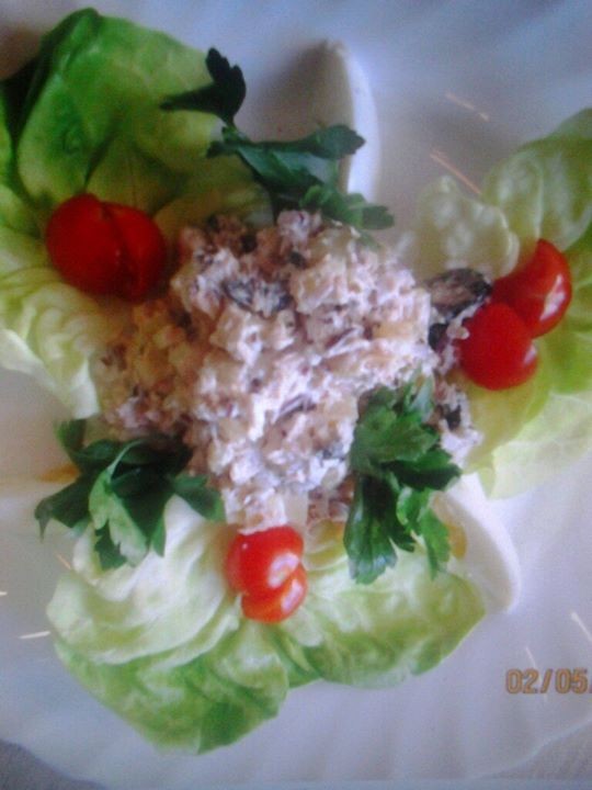 Svetlana  Troyanovskaya