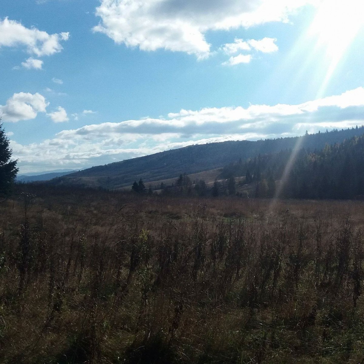 Александр Чепижко