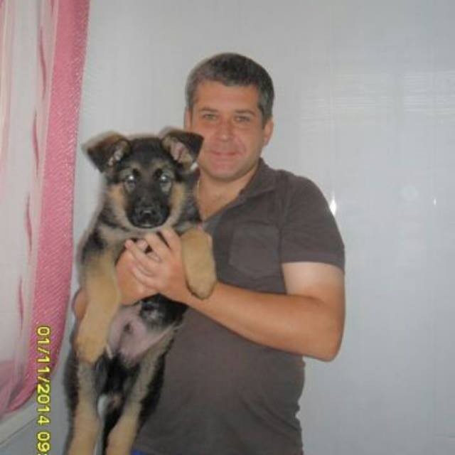 Владимир Орда