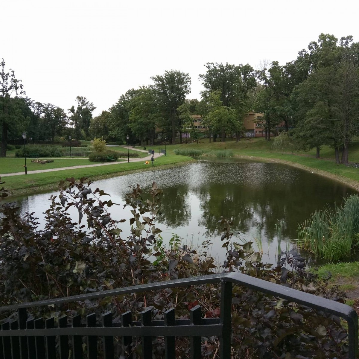 Олеся Барышева