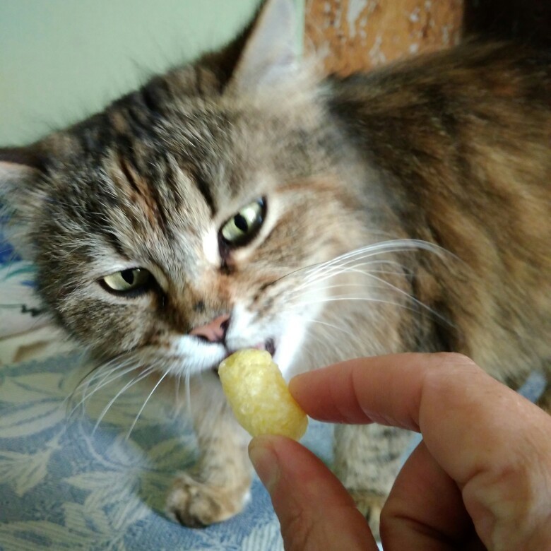 Марія Григірчек