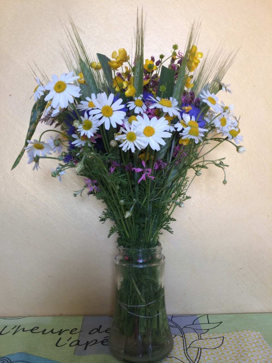 Євген Мельник