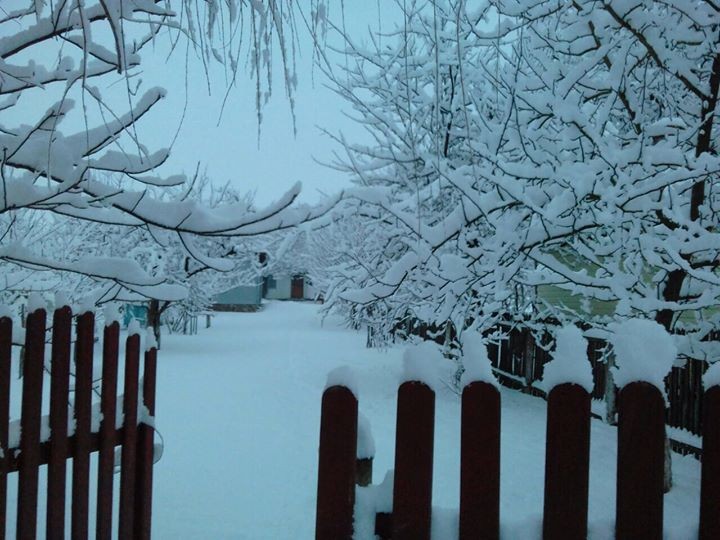 Роман Садлівський
