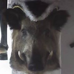 Руслан Костандов