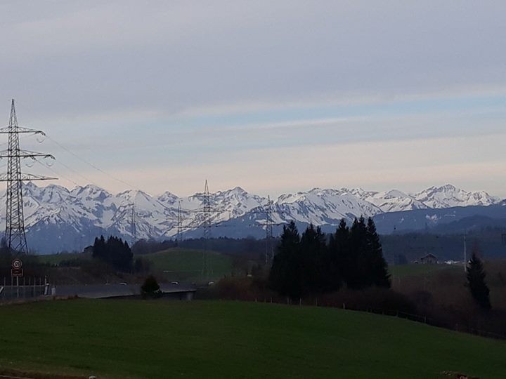 Александр Выговский