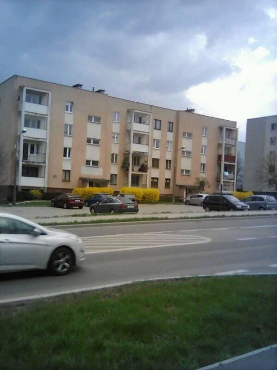 Олена Гандзюк