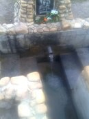 Миша. Янчук.