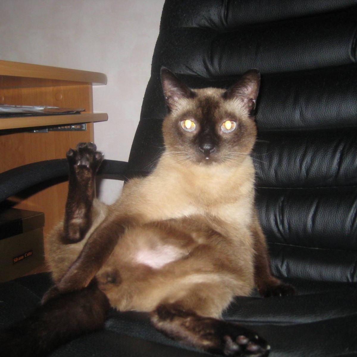 Іванців Юрій