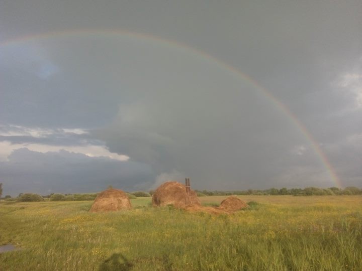 Роман Климович