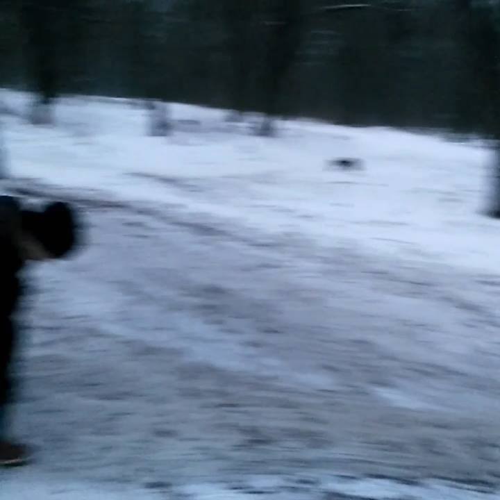 Степан Музычка