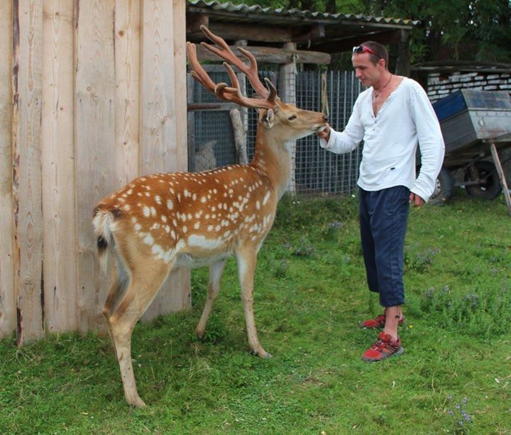 Андрій Мудрий