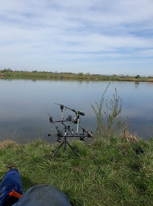 саня вербич