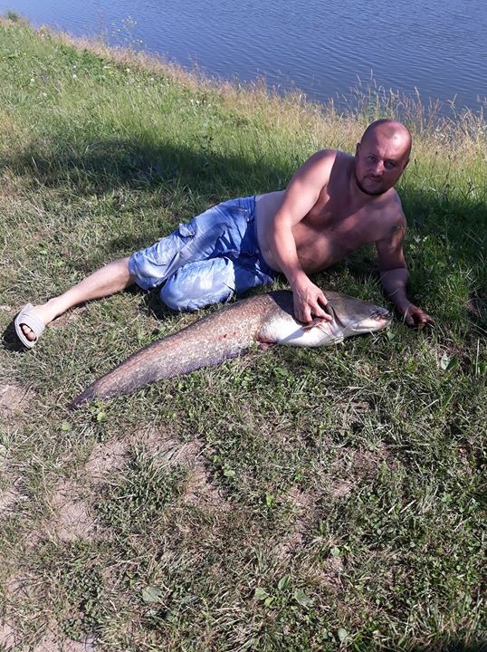 саня вербич