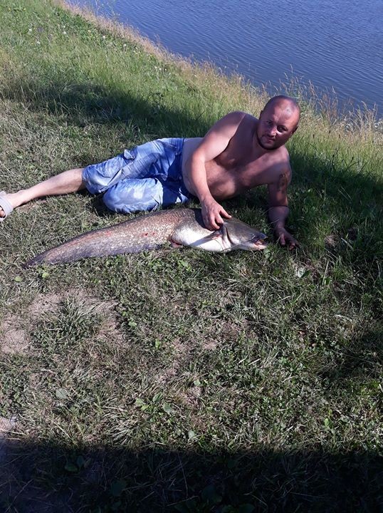 саня вербич