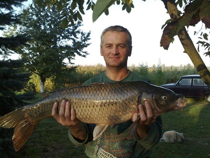 Сергій Вертилецький