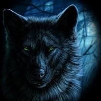 Николай Кушнерев