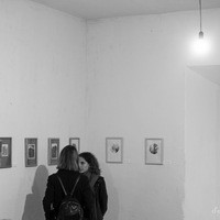 Юлия Бендега