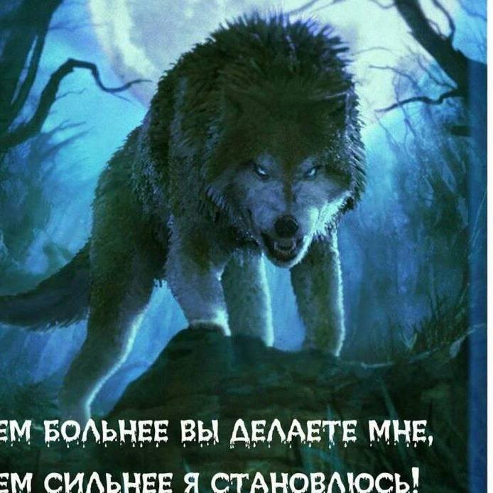 Jelezniy  Vladimir