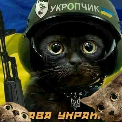 Саша Десятник