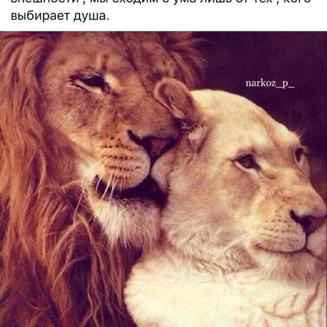 Игорь Бутович