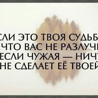 Елена Беляева