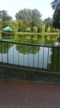 Звиад Абралава