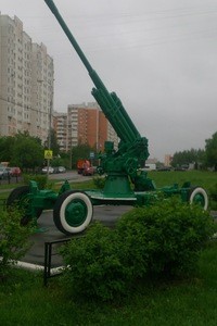Денис Пасевич