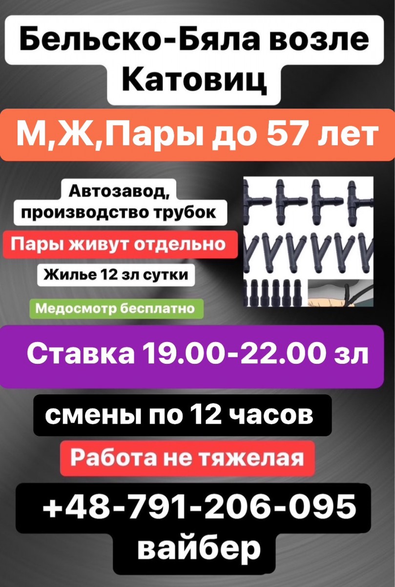 Екатерина12 