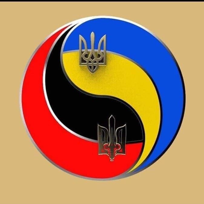 Володя Дубинка