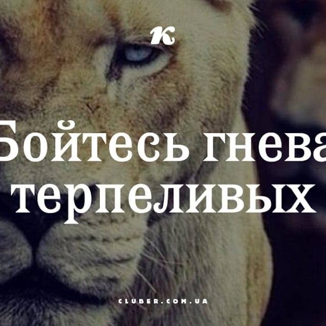 Стас Нетудыхатко